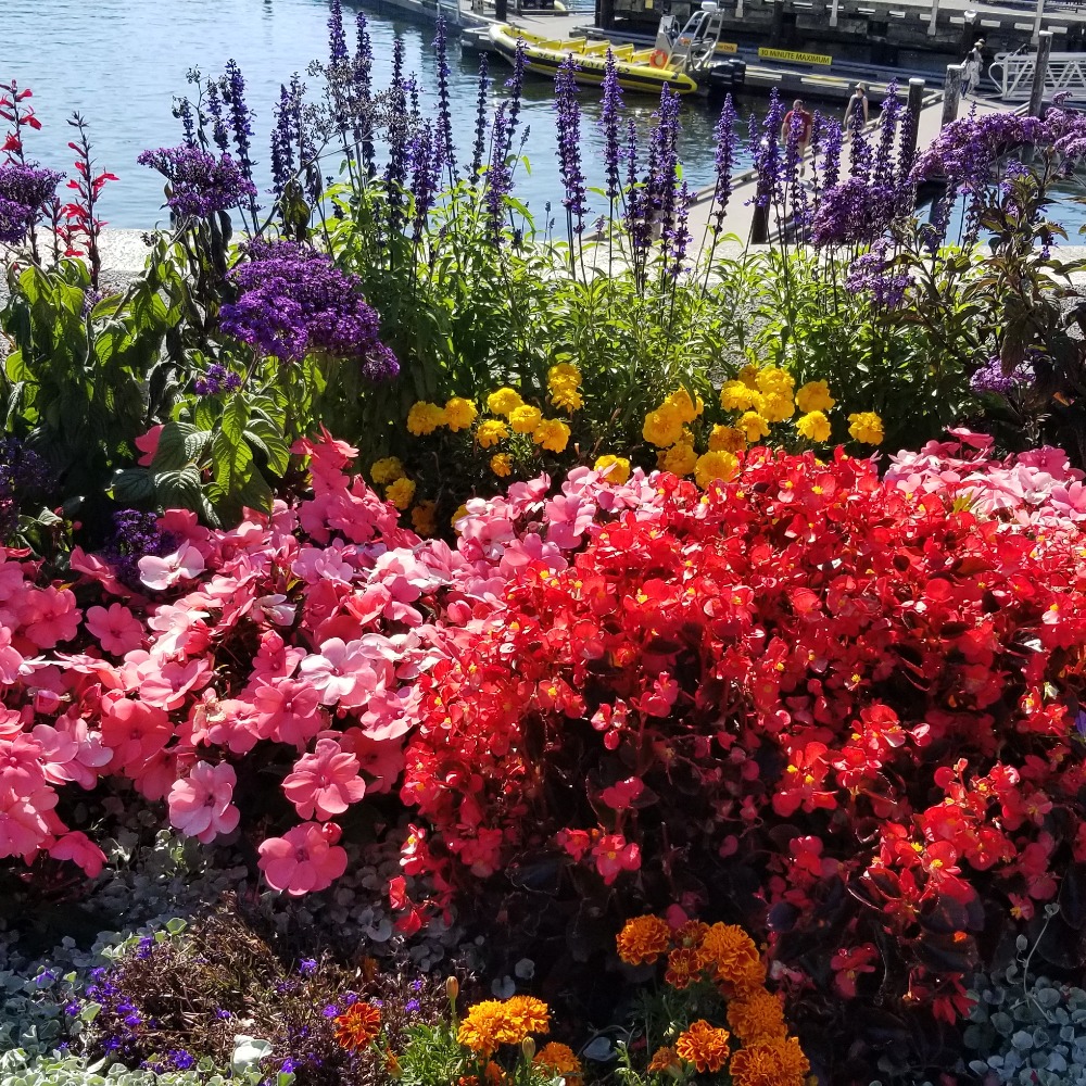 Meet your Posher, Melky